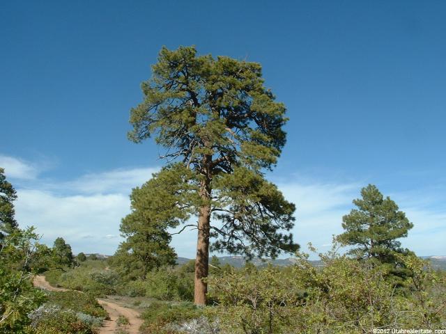 Mount Carmel, UT 84755 — photo 12