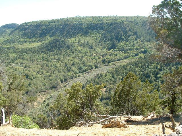 Mount Carmel, UT 84755 — photo 3