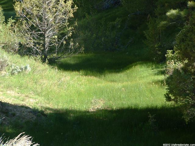 Mount Carmel, UT 84755 — photo 7