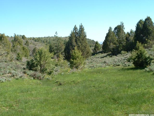 Mount Carmel, UT 84755 — photo 9