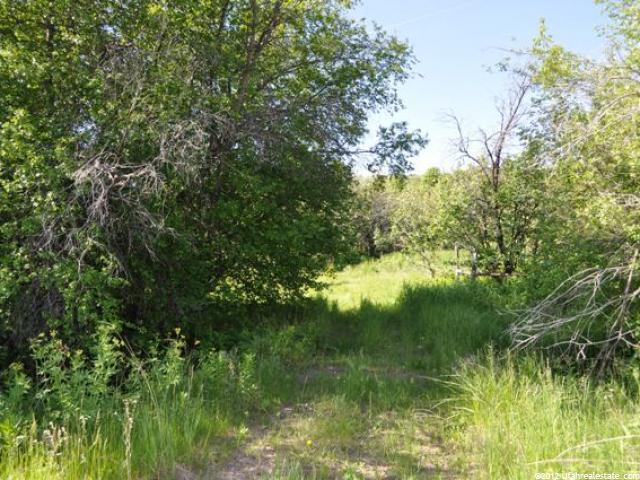 80 E 11400 N #19, Malad City, ID 83252 — photo 2