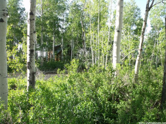 1679 Marigold, Heber City, UT 84032 — photo 10