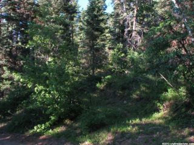 19 Scr #19, Mt Pleasant, UT 84647 — photo 2