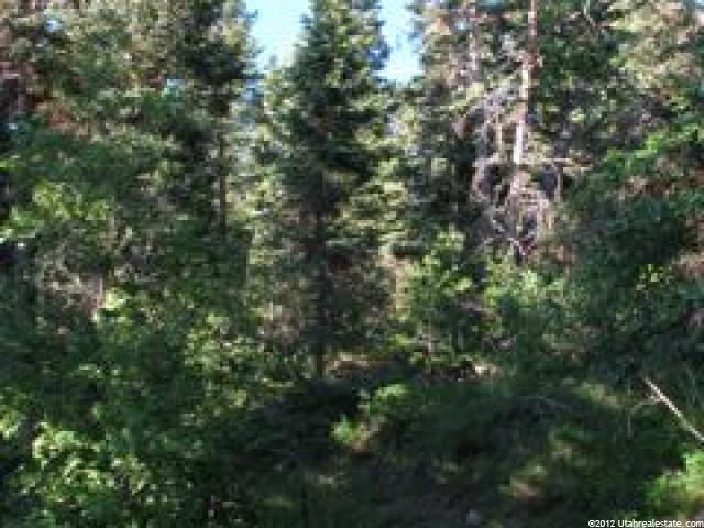 19 Scr #19, Mt Pleasant, UT 84647 — photo 3