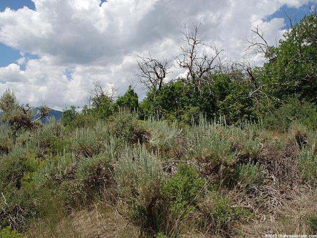 1303 E Lasso Trl #R-6, Hideout, UT 84036 — photo 8