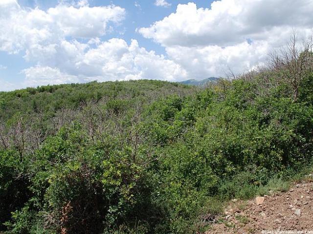 1290 E Lasso Trl #R-12, Hideout, UT 84036 — photo 2