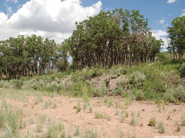 1106 E Lasso Trl #47, Hideout, UT 84036 — photo 2