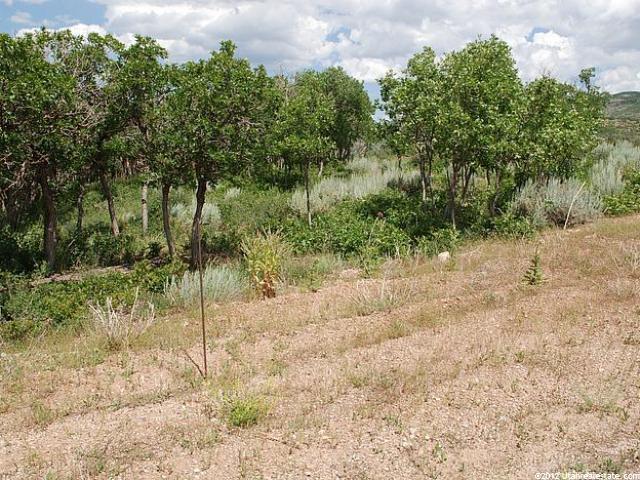 1106 E Lasso Trl #47, Hideout, UT 84036 — photo 3
