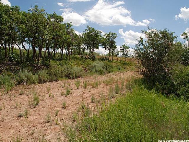 1106 E Lasso Trl #47, Hideout, UT 84036 — photo 6