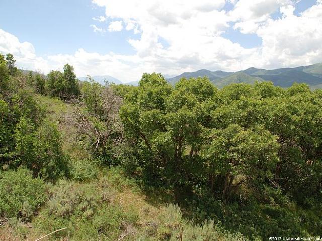 1190 E Lasso Trl #40, Hideout, UT 84036 — photo 3