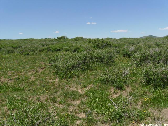 Virgin, UT 84779 — photo 2