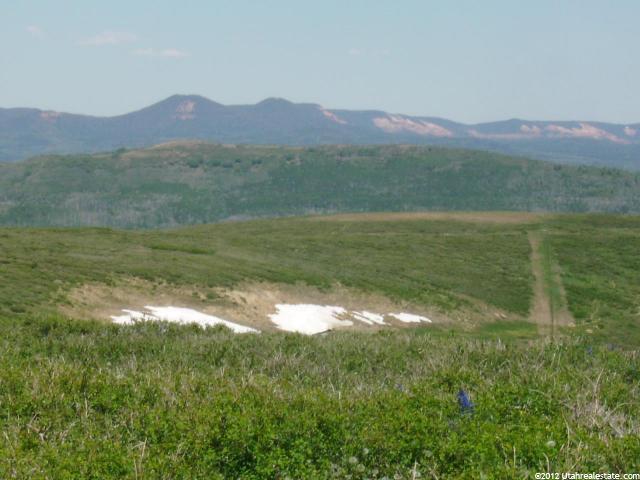 Virgin, UT 84779 — photo 12