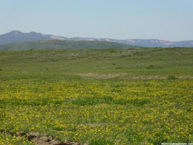 Virgin, UT 84779 — photo 10
