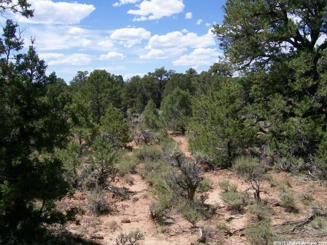 Tabiona, UT 84072 — photo 2