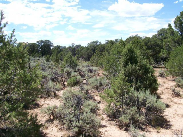 Tabiona, UT 84072 — photo 3