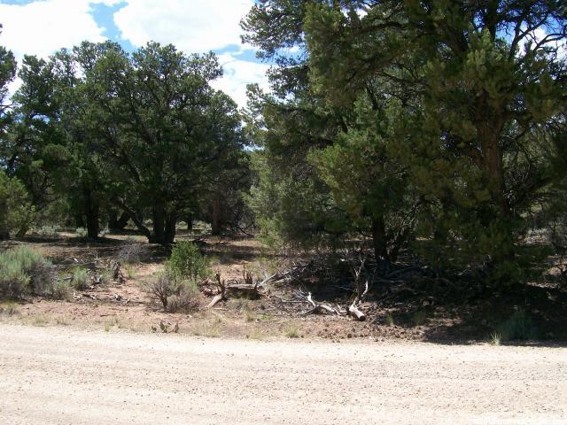 Tabiona, UT 84072 — photo 4