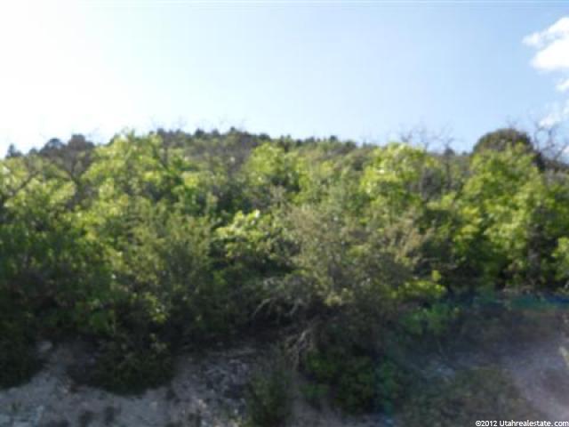 33225 N 10800 E #465, Fairview, UT 84629 — photo 2