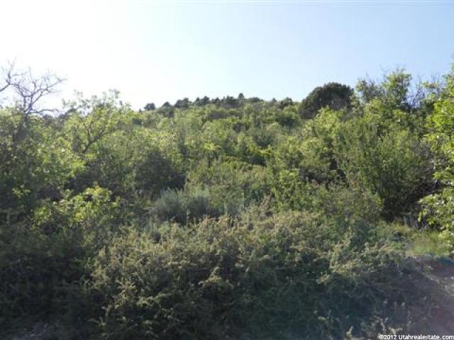33225 N 10800 E #465, Fairview, UT 84629 — photo 3