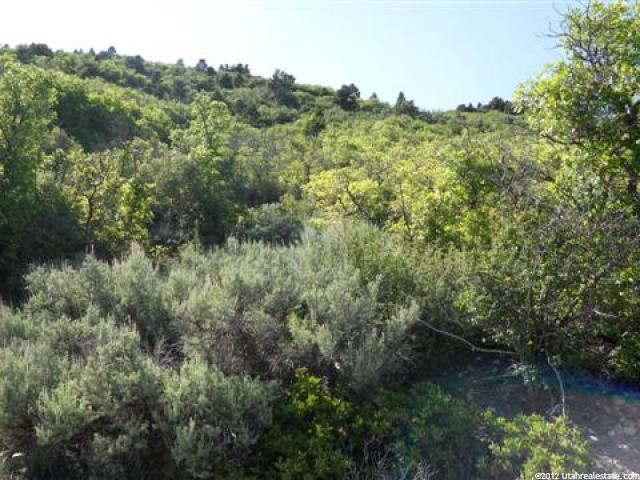33225 N 10800 E #465, Fairview, UT 84629 — photo 4