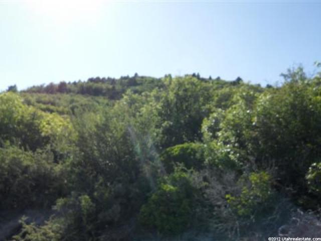 33225 N 10800 E #465, Fairview, UT 84629 — photo 5