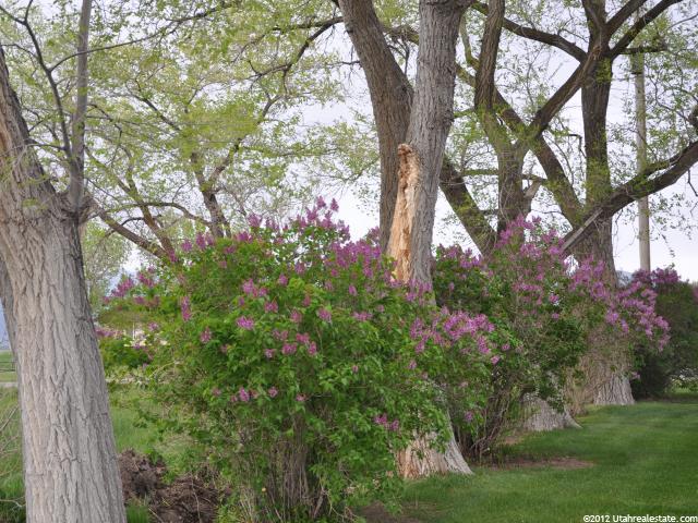 191 N 6800 W, Corinne, UT 84307 — photo 8