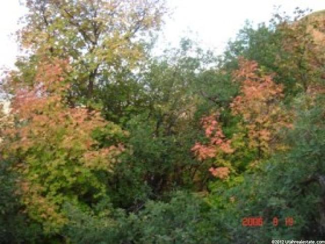 53 S Canyon Loop E #53, Midway, UT 84049 — photo 2