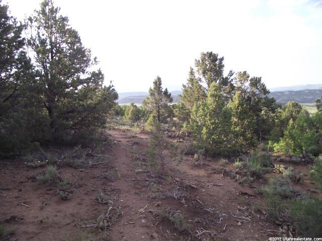 1, Tabiona, UT 84072 — photo 3