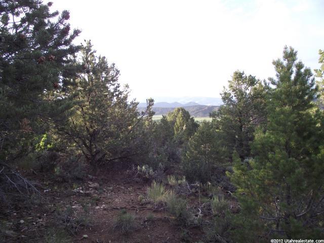 1, Tabiona, UT 84072 — photo 7