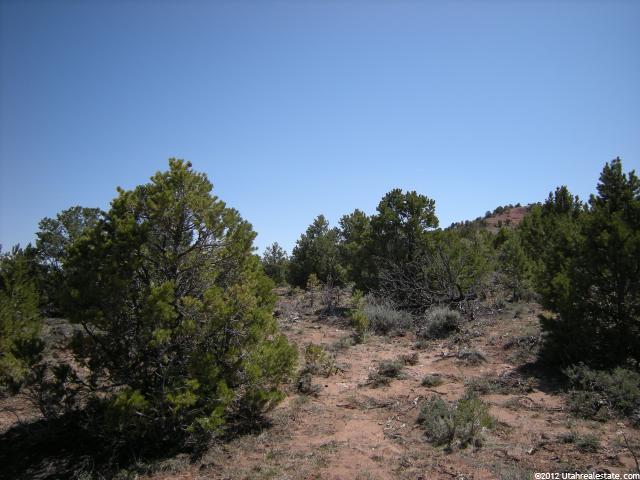 1, Tabiona, UT 84072 — photo 9