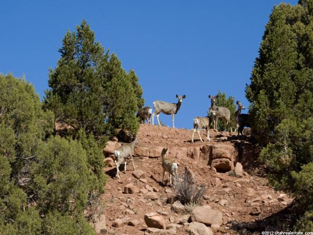 #11, Fruitland, UT 84027 — photo 2