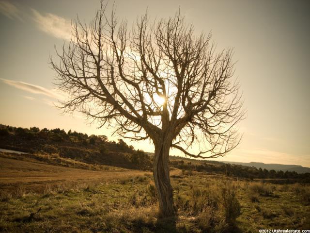 #11, Fruitland, UT 84027 — photo 5