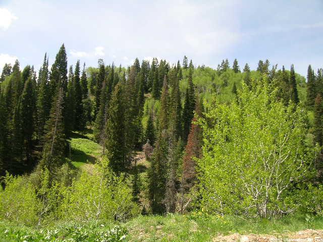 1068 W Beaver Cir #D32, Wanship, UT 84017 — photo 4