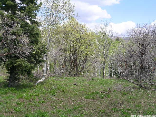 1068 W Beaver Cir #D32, Wanship, UT 84017 — photo 6