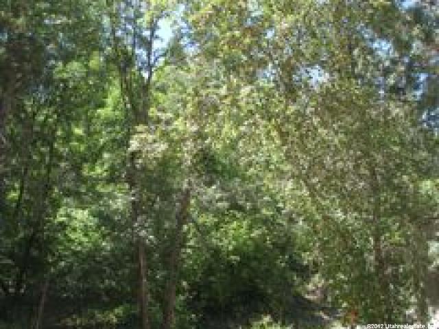 3 Meadows #3, Mt Pleasant, UT 84647 — photo 2