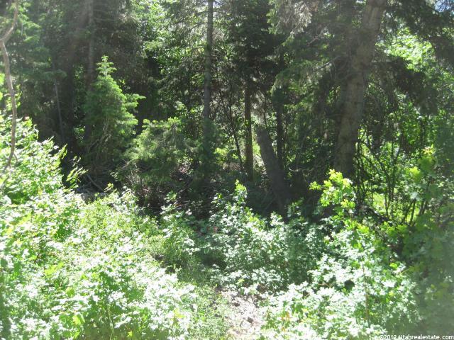 50 Acres #50, Mt Pleasant, UT 84647 — photo 2