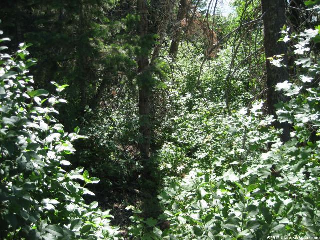 50 Acres #50, Mt Pleasant, UT 84647 — photo 3