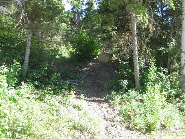 50 Acres #50, Mt Pleasant, UT 84647 — photo 4