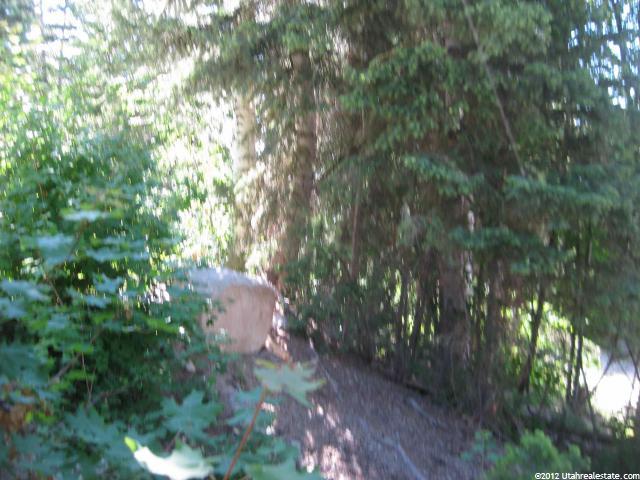 50 Acres #50, Mt Pleasant, UT 84647 — photo 6