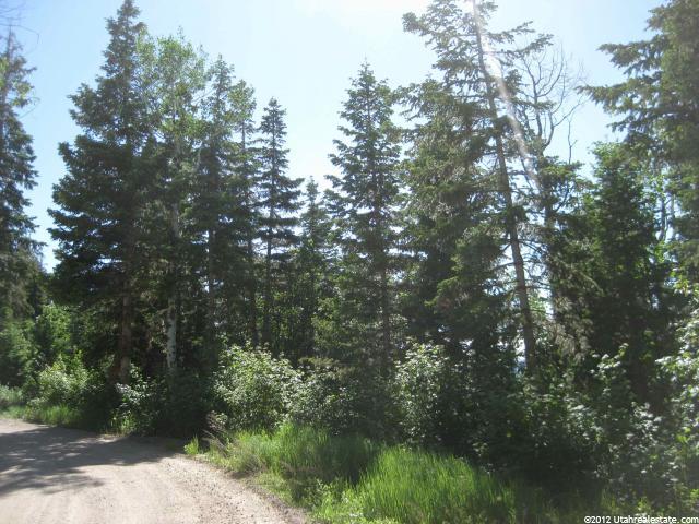 50 Acres #50, Mt Pleasant, UT 84647 — photo 7