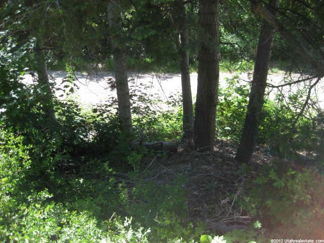50 Acres #50, Mt Pleasant, UT 84647 — photo 8