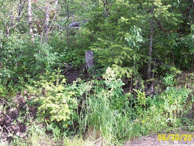 2202 Samak Park Ct #36, Kamas, UT 84036 — photo 11