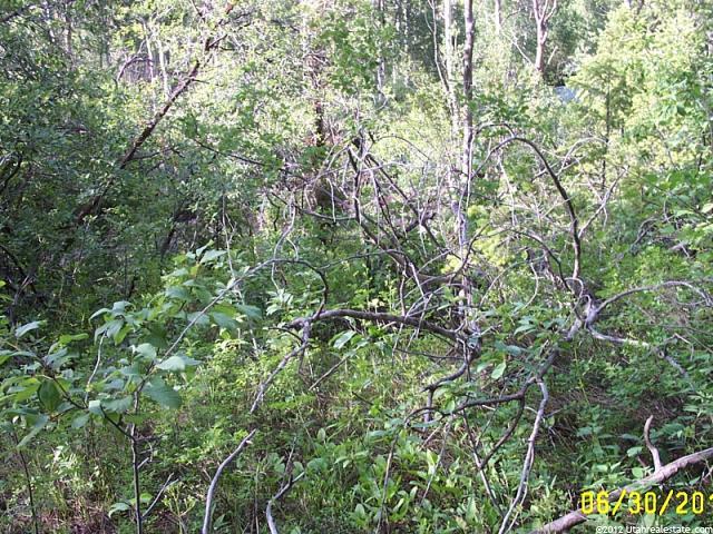2202 Samak Park Ct #36, Kamas, UT 84036 — photo 12