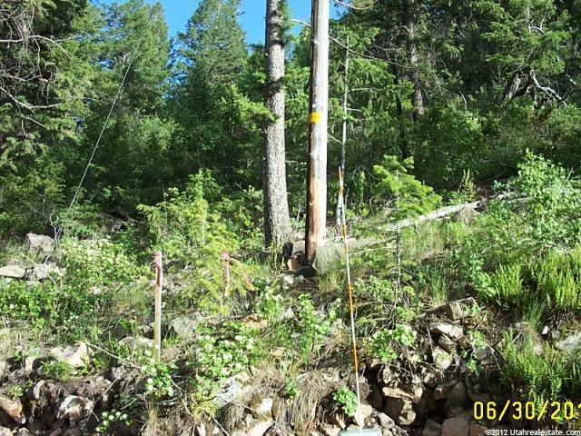 2202 Samak Park Ct #36, Kamas, UT 84036 — photo 3