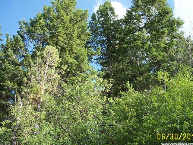 2202 Samak Park Ct #36, Kamas, UT 84036 — photo 4