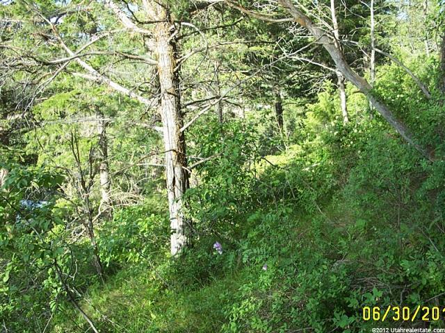 2202 Samak Park Ct #36, Kamas, UT 84036 — photo 6