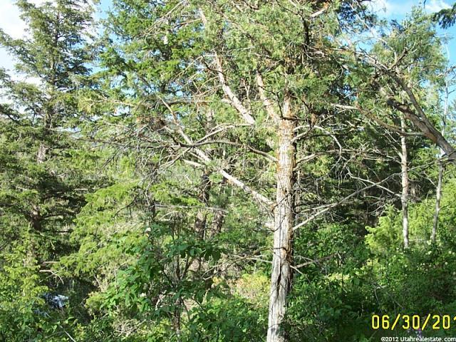 2202 Samak Park Ct #36, Kamas, UT 84036 — photo 7