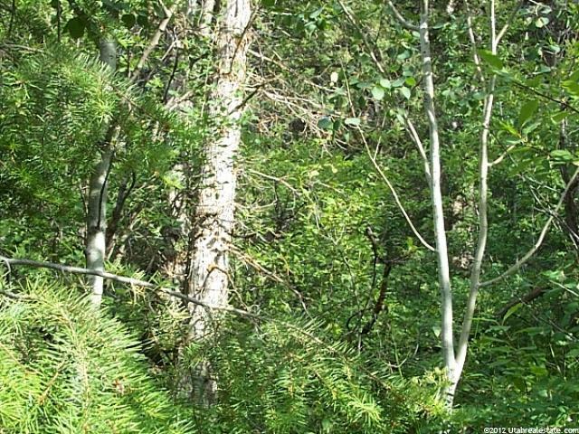 2202 Samak Park Ct #36, Kamas, UT 84036 — photo 9