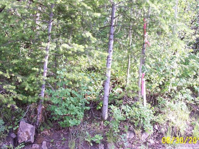 2202 Samak Park Ct #36, Kamas, UT 84036 — photo 10