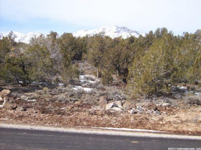 315 Juniper Way, New Harmony, UT 84757 — photo 5