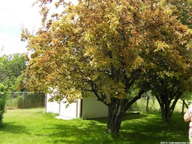 85 E 200 S, Fairview, UT 84629 — photo 12